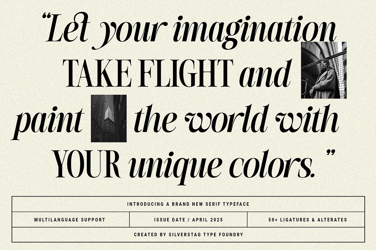 The Silver Editorial - 18 Fonts Pack, a Serif Font by SilverStag Type Foundry (Photo 27 of 30)