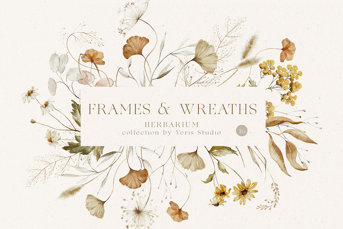 Autumn Wildflower Watercolor Floral, a Decorative Illustration by Veris Studio (Photo 5 of 15)