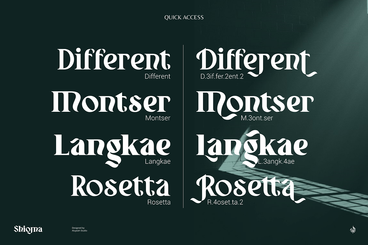 Shioma, a Serif Font by Aluyeah Studio (Photo 14 of 15)