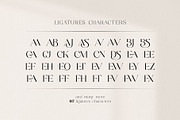 Balkind - Modern Beauty Serif Font, a Serif Font by Ekahermawan (Thumbnail 21 of 25)