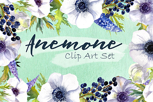 Watercolor Anemone Flowers Clipart