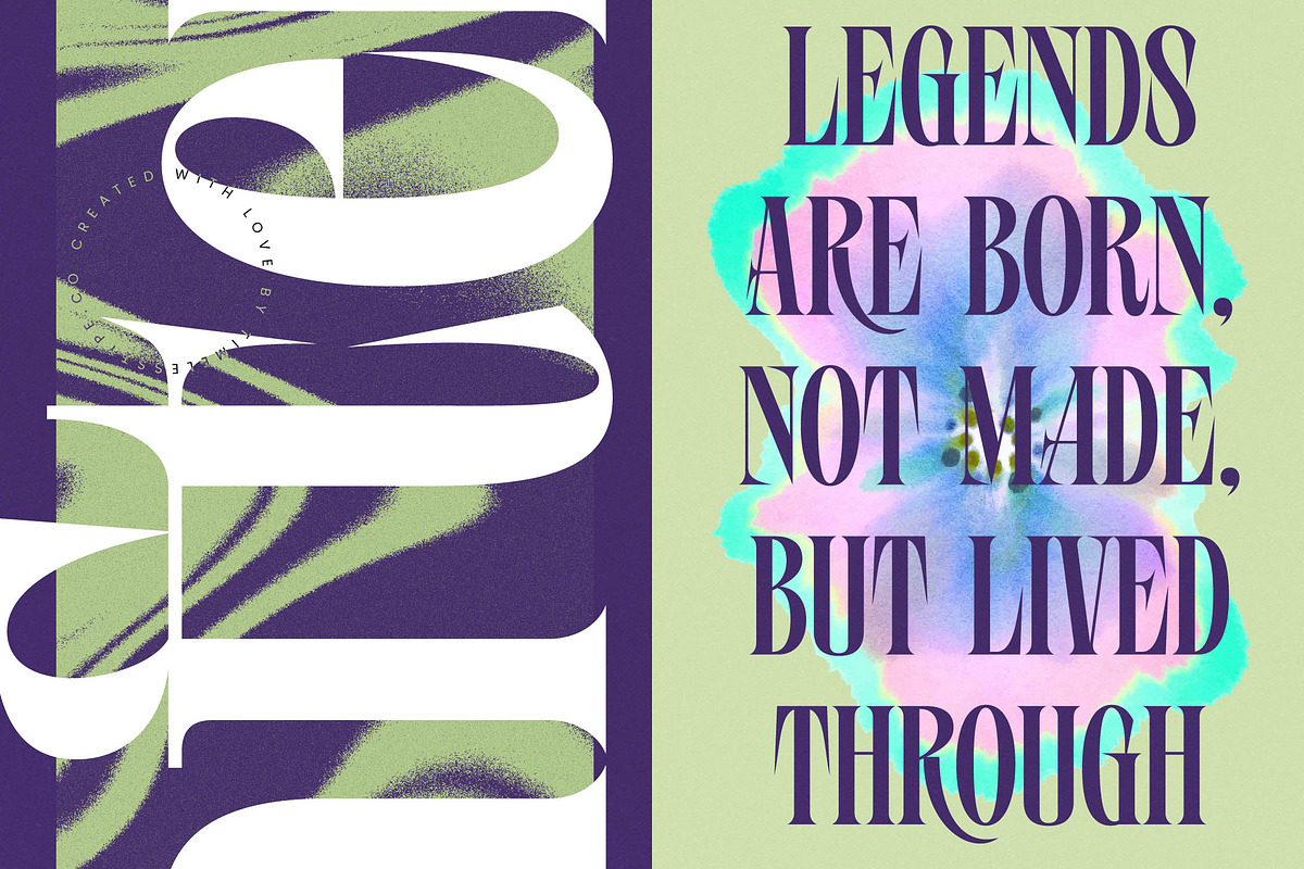 Wafterlic Modern Display Serif, a Serif Font by timelesstype.co (Photo 13 of 20)