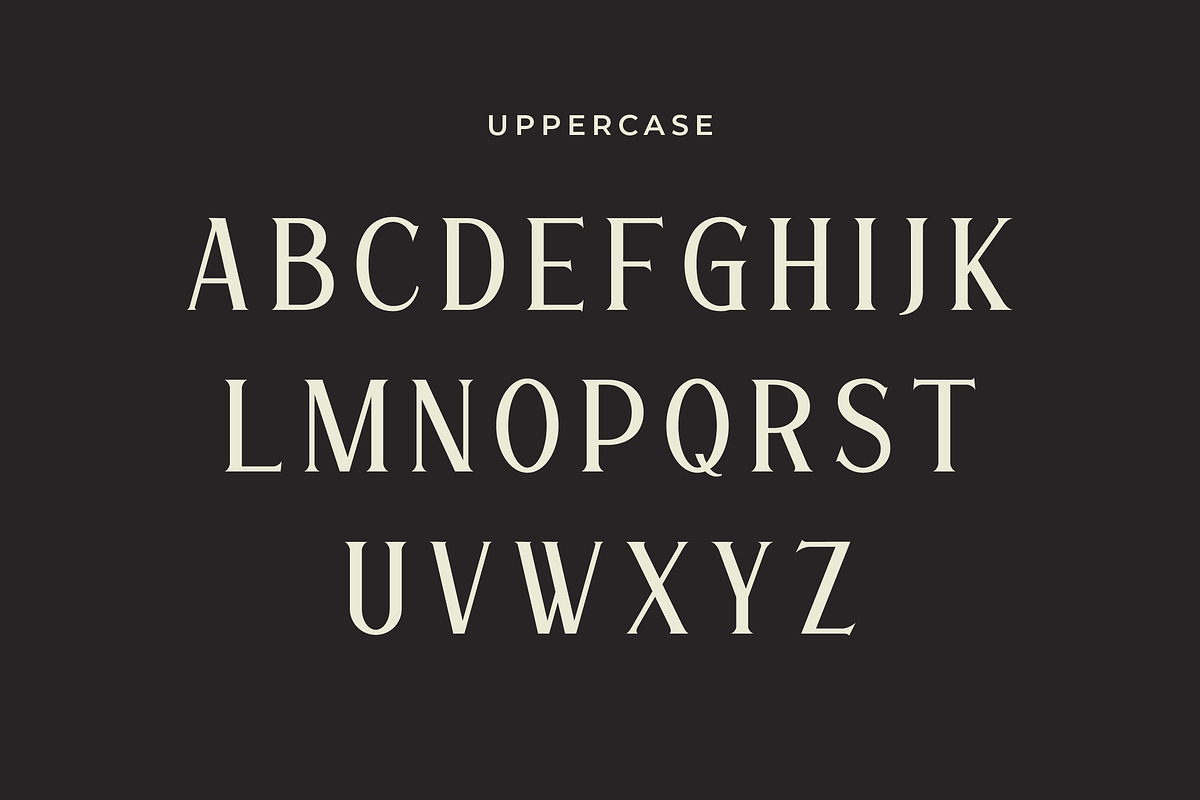 Gaisan - Sharp Modern Serif Font, a Serif Font by Mily Studio (Photo 4 of 10)