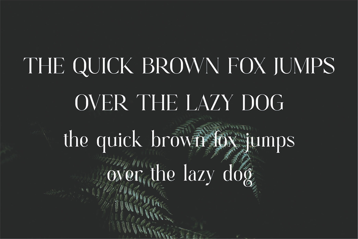 Hugian Modern Serif Font, a Serif Font by Dylla_studio (Photo 8 of 11)