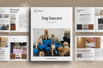 Dog Daycare Business Brochure