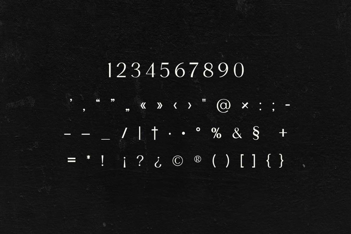 Quirk Modula Serif Typeface Font, a Serif Font by UICreative (Photo 8 of 13)