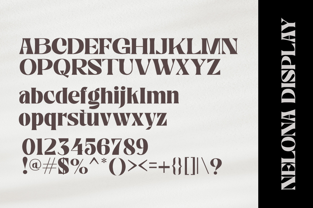 Nelona Serif, a Serif Font by Megatype (Photo 9 of 11)