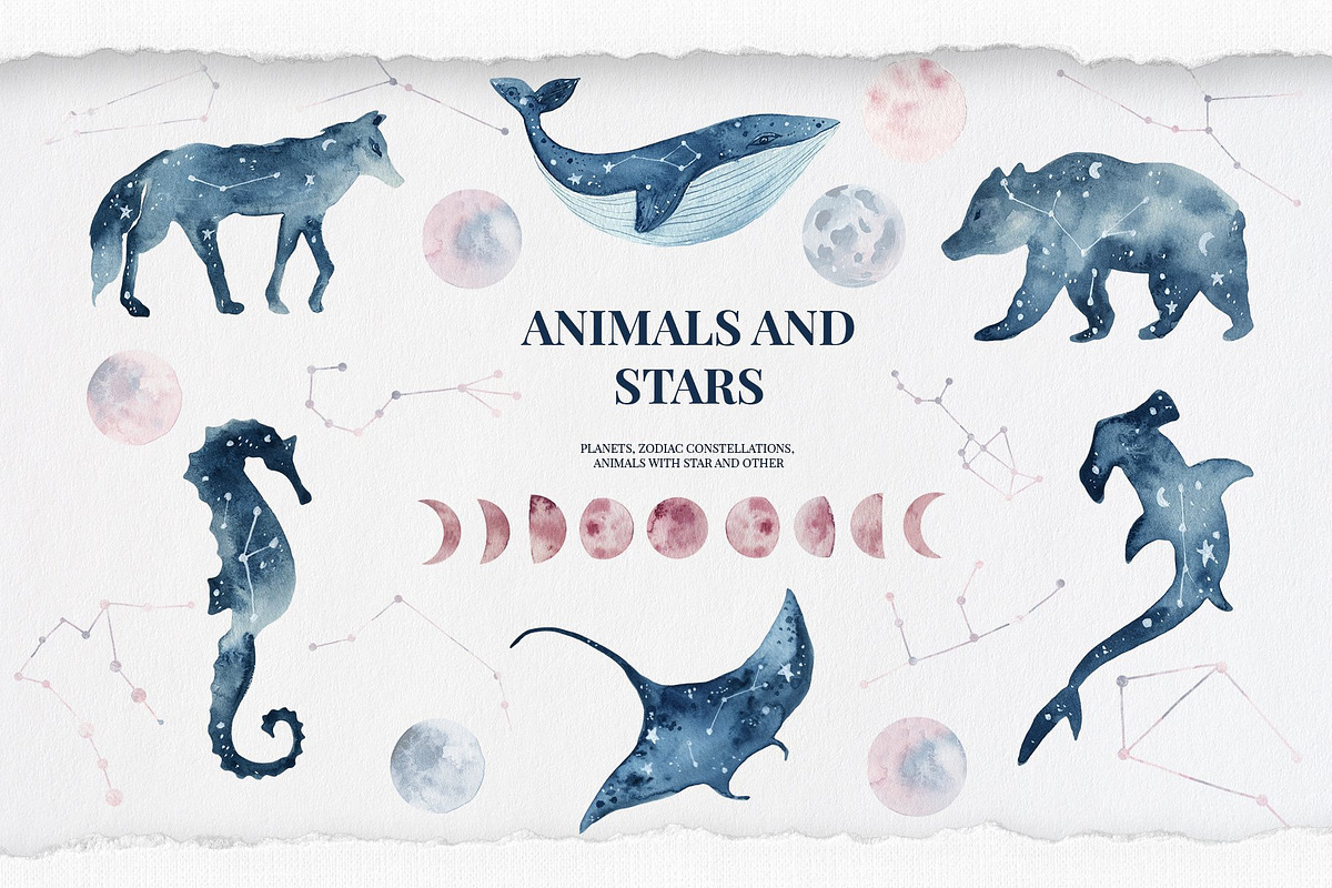 WHOLE SHOP. Watercolor bundle vol 1, an Animal Illustration by anastasiia.art (Photo 37 of 47)