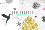 New Tropics. 111 graphic elements, an Object Graphic by alekseiderin (Thumbnail 1 of 9)