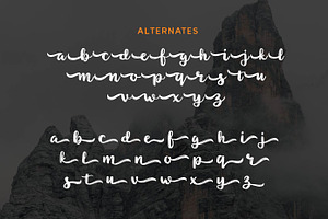 Noyram - Brush Script Fonts