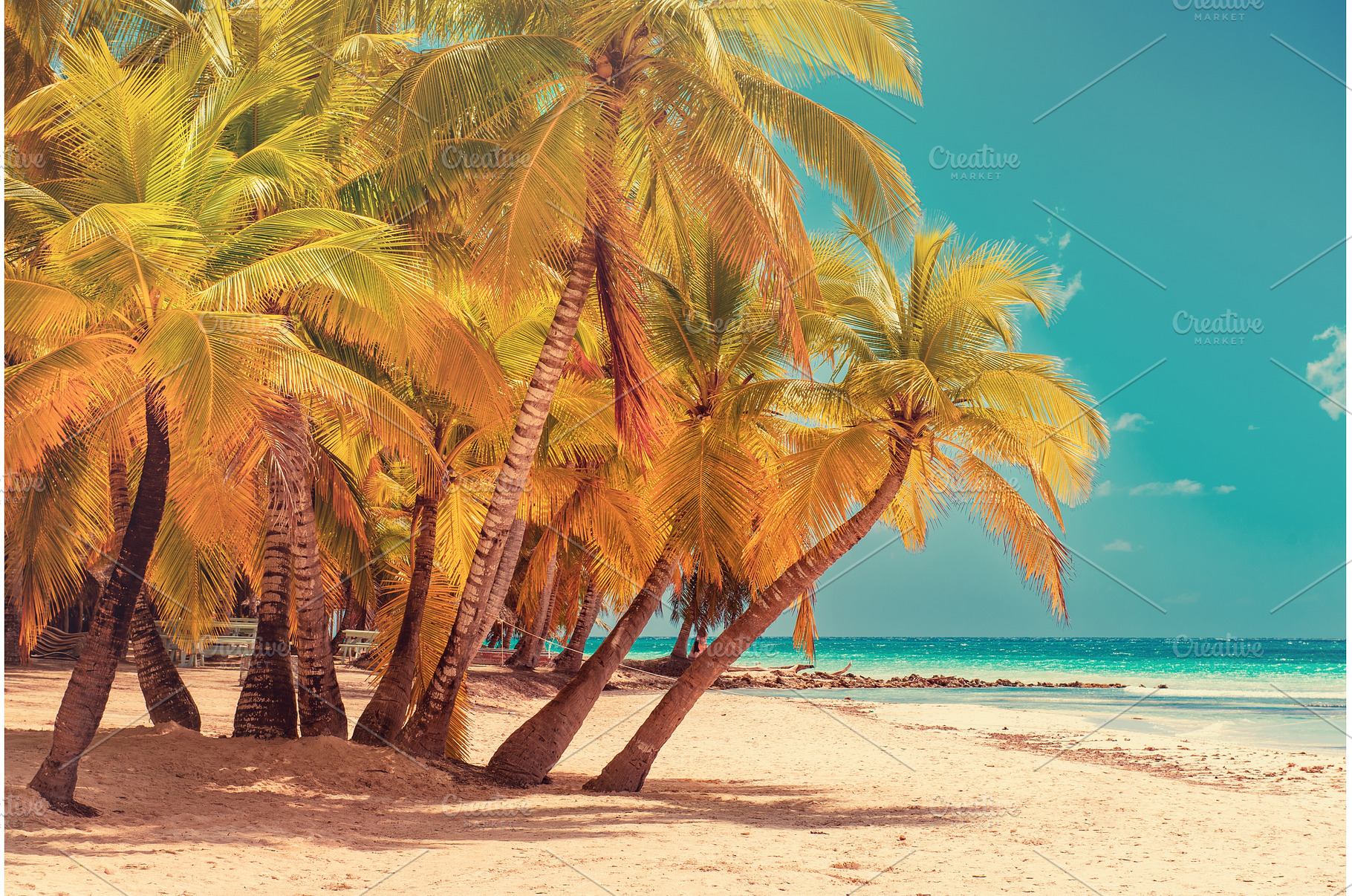 Tropical Caribbean beach, Dominican, a Nature Photo by Nature and travel