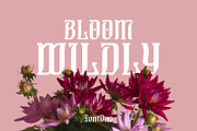 Vienna Bloom Art Nouveau Font, a Serif Font by FontDuo (Thumbnail 5 of 8)