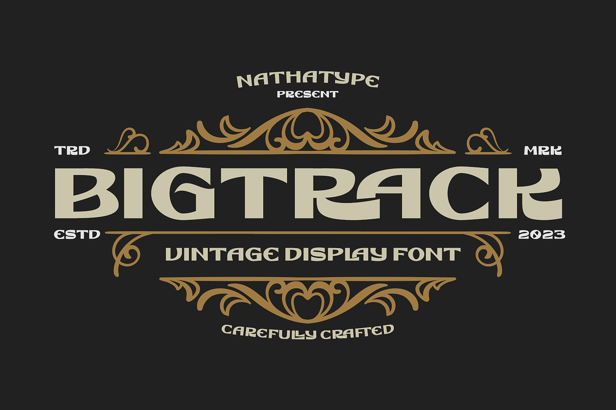 Bigtrack, a Handwritten Font by Nathatype (Photo 1 of 15)