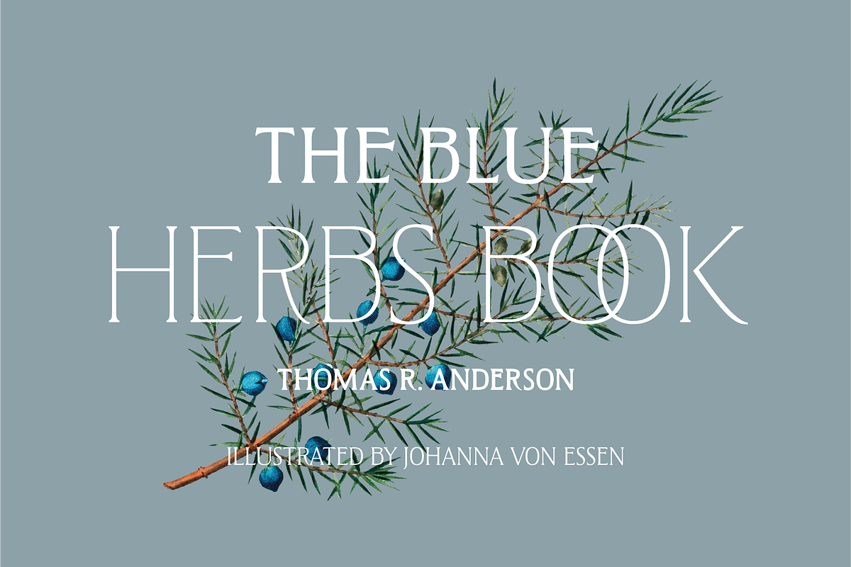 West and Olives (6 fonts + variable), a Font by The Old Type Foundry (Photo 6 of 12)