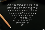 Maqine Yunita Font, a Script Font by Onotype (Thumbnail 5 of 6)