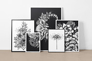 Day and Night. Vector Floral Set, a Pattern Graphic by Molly art (Thumbnail 6 of 14)