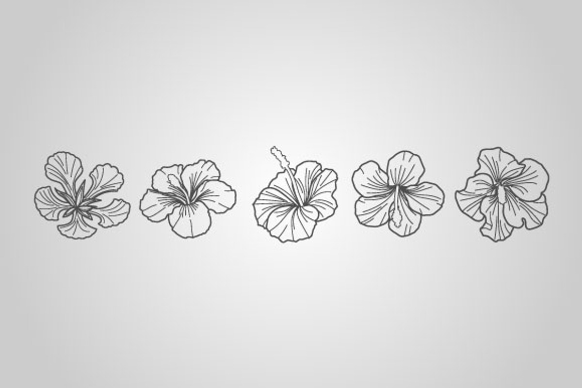 50 Tropical Designs (Vector) preview 5