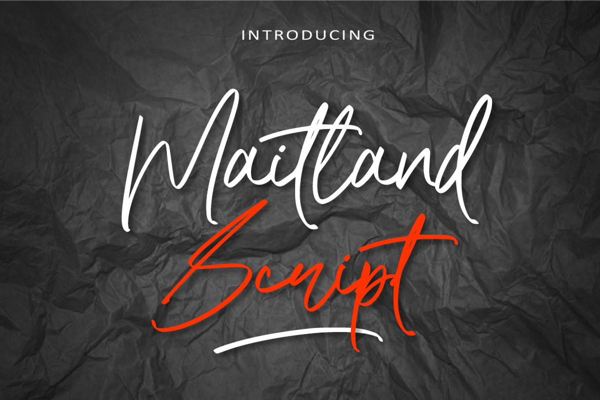 BEST SALE! The Signature Font Bundle, a Script Font by AMINMARIO (Photo 16 of 21)