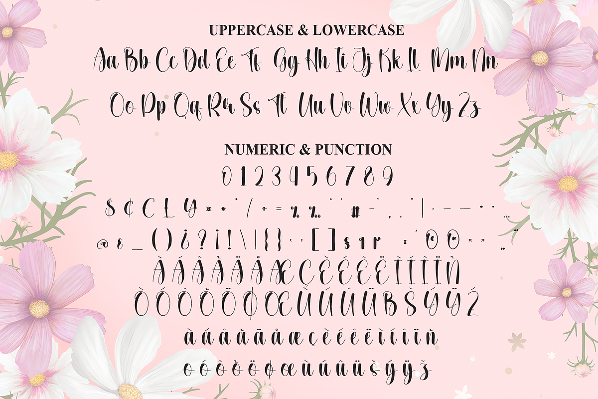 Excellent | Script Font, a Handwritten Font by Scratchones (Photo 7 of 8)