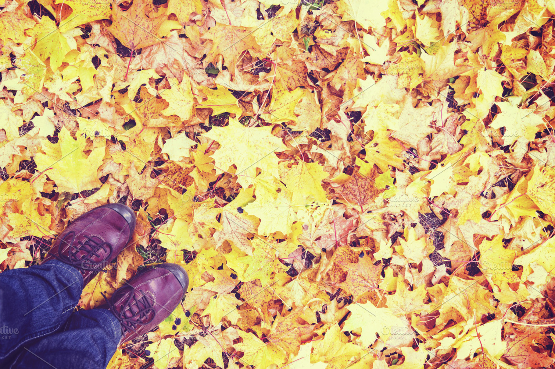 Legs and shoes on maple leaves, a Nature Photo by BOOCYS