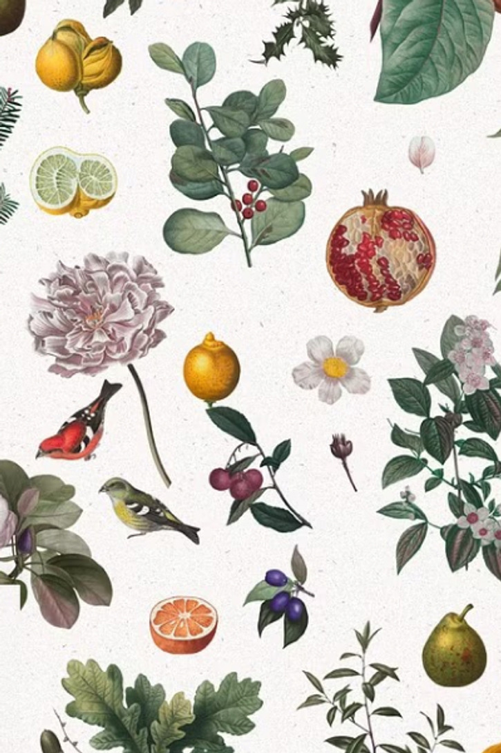 Design Kits By Featured Shops