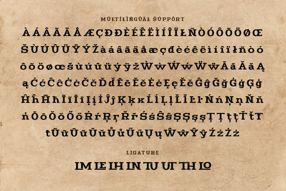 Avlnur - Serif Display Font, a Sans Serif Font by trabaskriya (Photo 8 of 8)