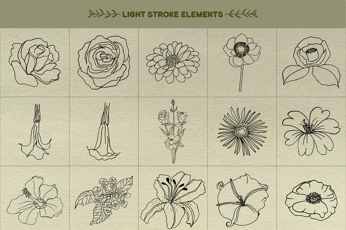 Botanical Vibes: 120 Floral Elements, an Object Illustration by Sheikhadesign (Photo 8 of 15)