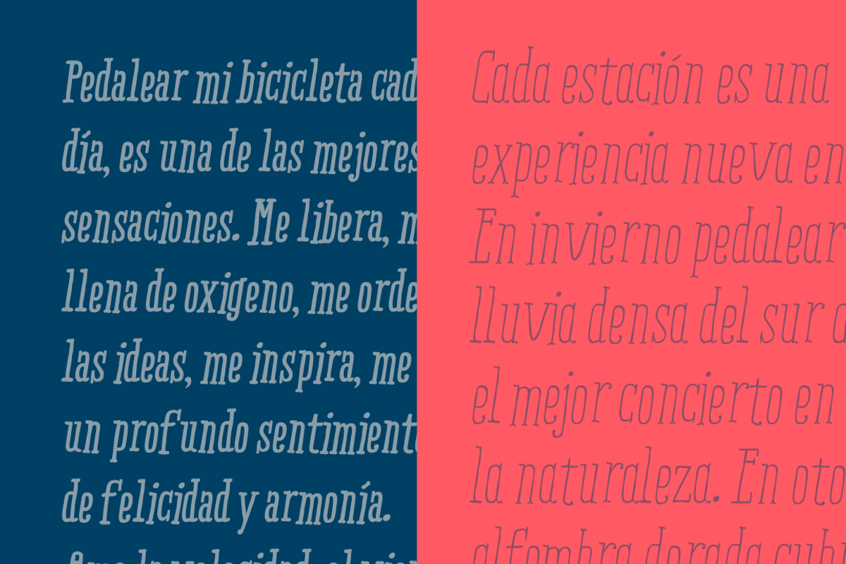 Ride my Bike Serif, a Serif Font by Latinotype (Photo 2 of 5)