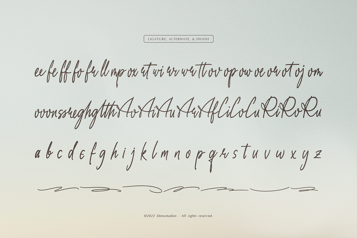 Daily Miracle | Script Handwritten, a Script Font by Denustudios (Photo 11 of 12)