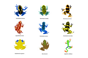 Set Of Different Frogs, Flat Design.