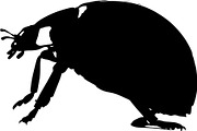 Ladybug Silhouette, an Object Graphic by Designer_Momina (Thumbnail 7 of 20)