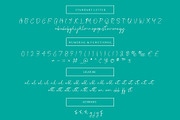 Bargoli Elegant Script Font, a Script Font by Bilahstudio (Thumbnail 10 of 11)