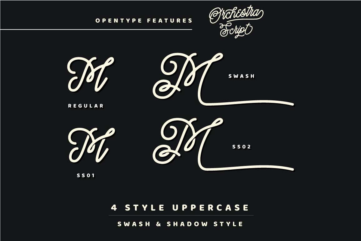 Orchestra Script - Monoline Typeface preview 6