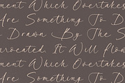 Garden Silent Elegant Script Font, a Script Font by stylishtype.co (Thumbnail 12 of 20)