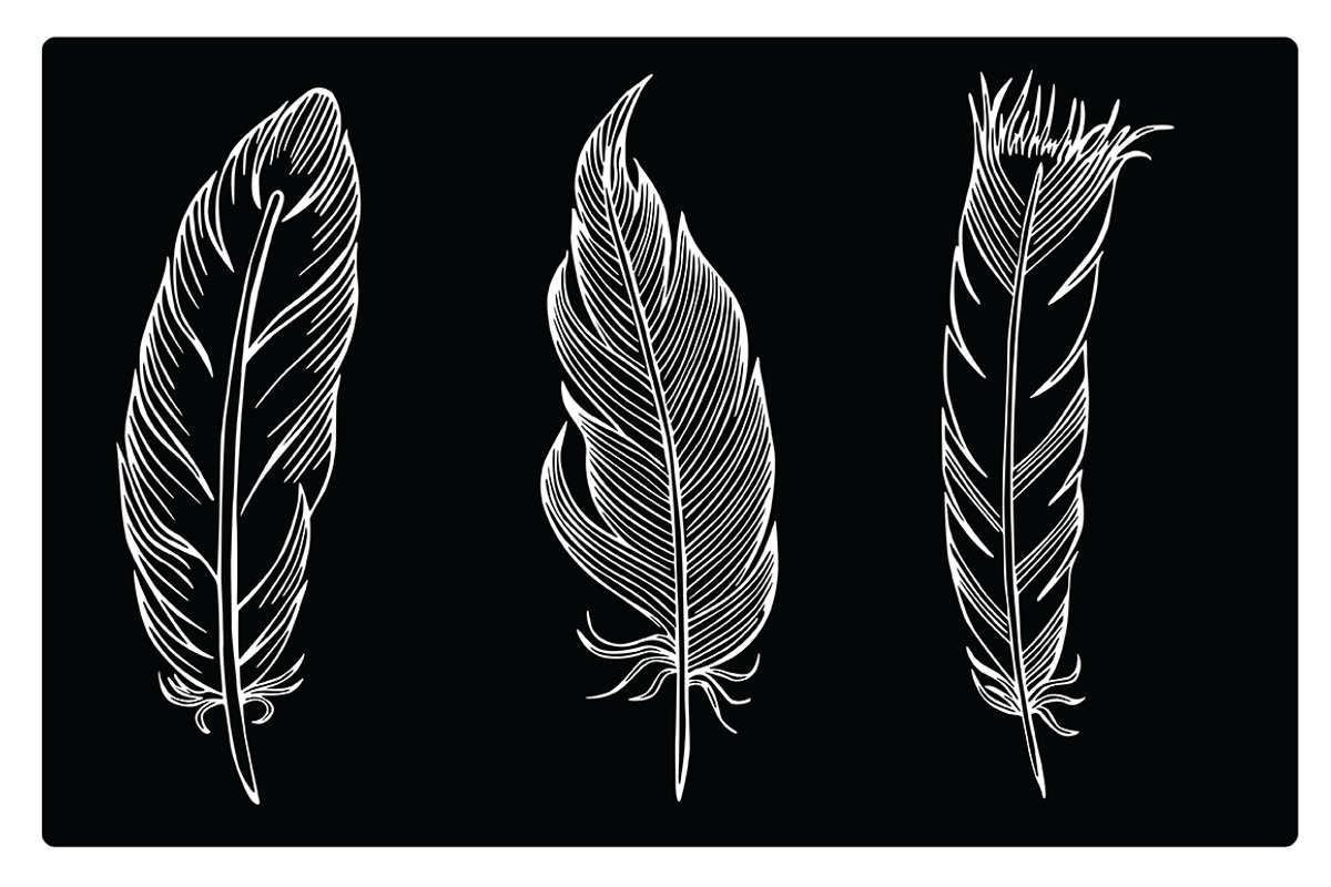 Silhouettes of different feathers, an Illustration by risovanya (Photo 3 of 3)