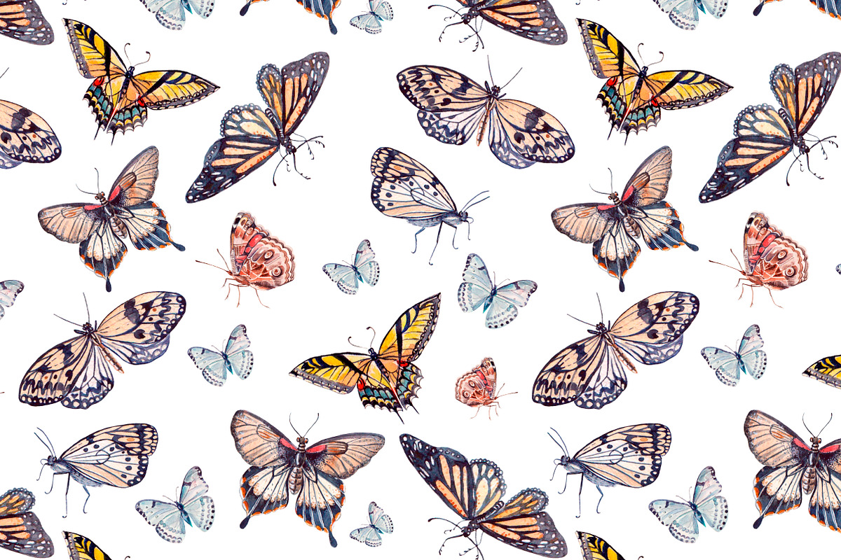 Beautiful watercolor butterflies, an Object Graphic by Knopazyzy (Photo 3 of 5)
