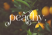 Elyaris | Stylish Serif, a Serif Font by Sealoung (Thumbnail 6 of 17)