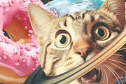 Cosmic Cats, an Object Graphic by TheCuteShop (Thumbnail 4 of 5)