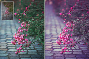Nature Photoshop Actions preview 4