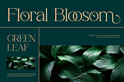 Ezirack || Modern Classy Serif Font, a Serif Font by Ermedia Studio (Thumbnail 4 of 10)