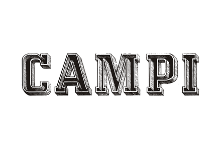 Campi, a Slab Serif Font by Intellecta Design