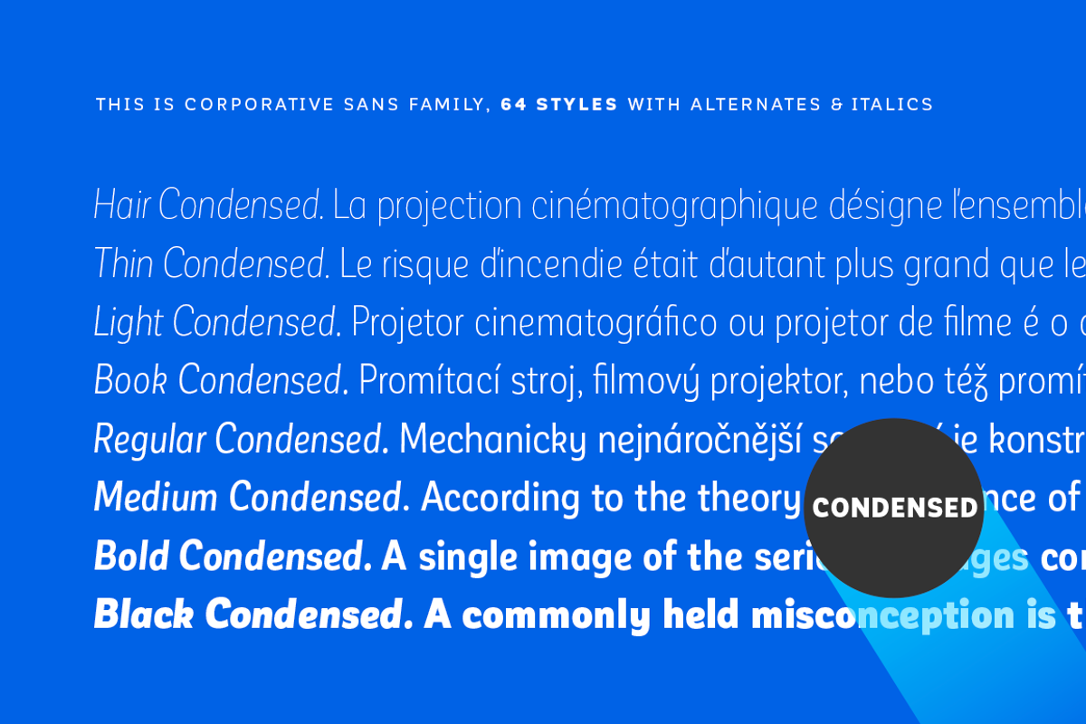 Corporative Sans - Family 50% off preview 4
