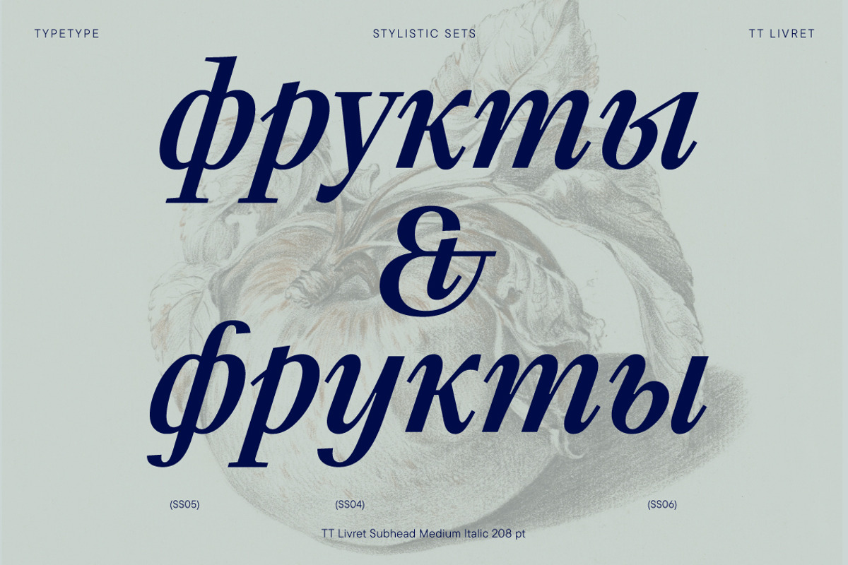 TT Livret, a Serif Font by TypeType (Photo 11 of 15)