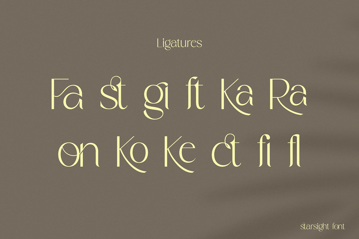 Starsight, a Serif Font by Gatype (Photo 10 of 11)