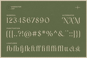 Vailnoise - Classic Vintage Serif