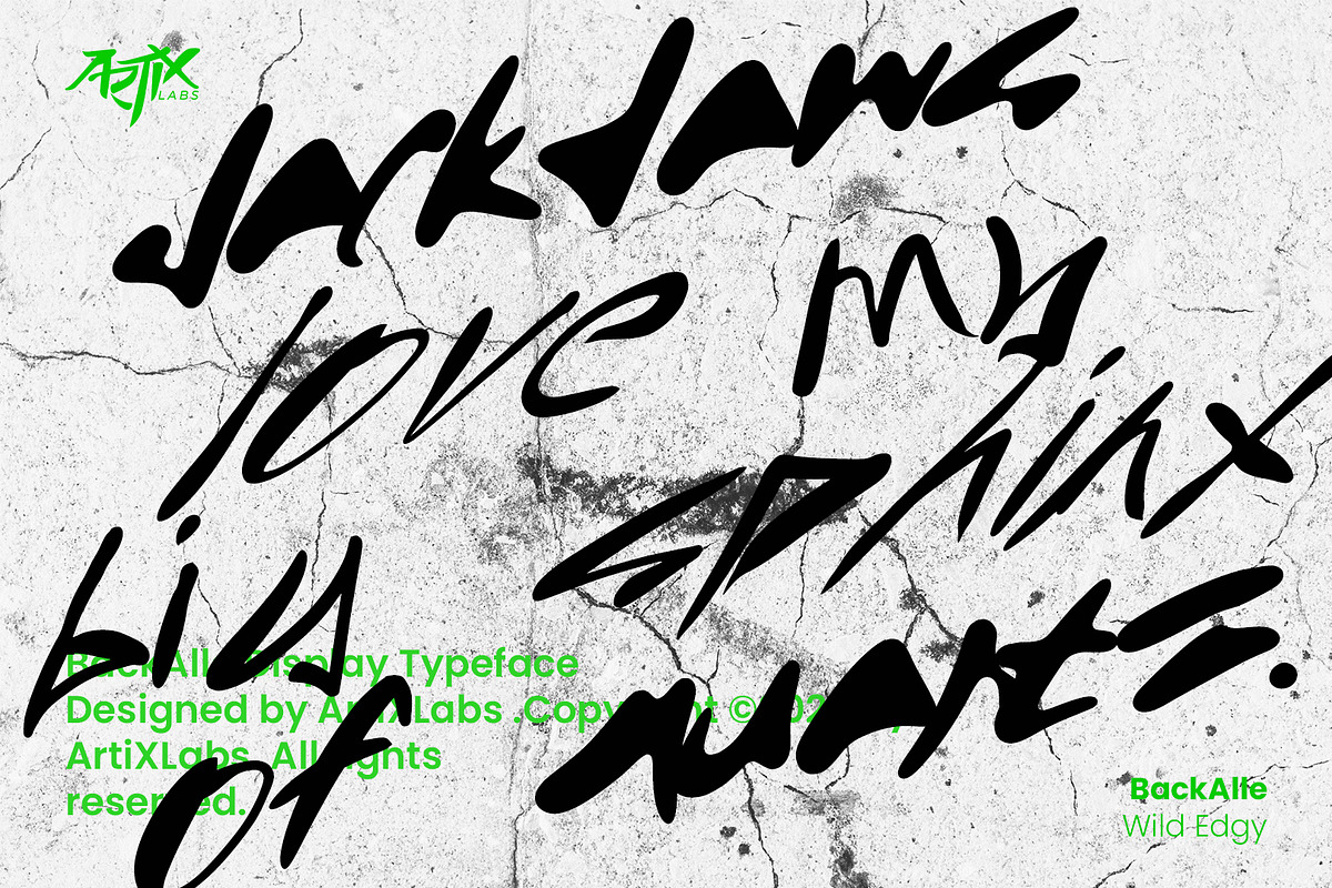 Back Alle Urban Street Graffiti Font, a Handwritten Font by ArtiXLabs (Photo 2 of 10)