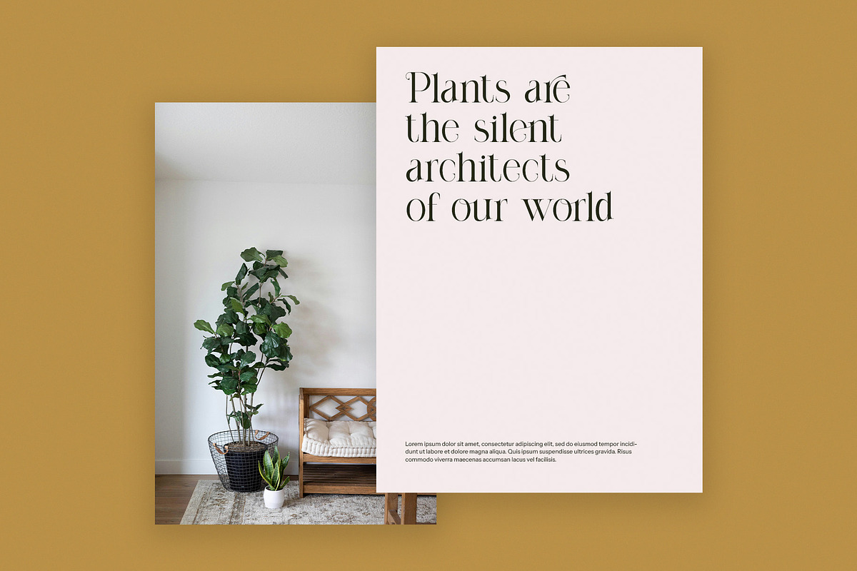 Kongli Elegant Serif Font, a Serif Font by Perfectype (Photo 7 of 9)