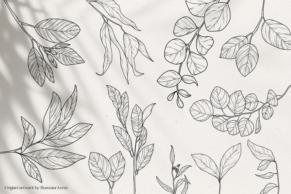 Floral Garden - Floral Line Art, an Illustration by IllustratorAnnie (Photo 9 of 10)