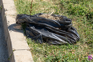 Black garbage bag filled with dry grass lying on green grass next to a concrete, a Nature Photo by Ales Munt