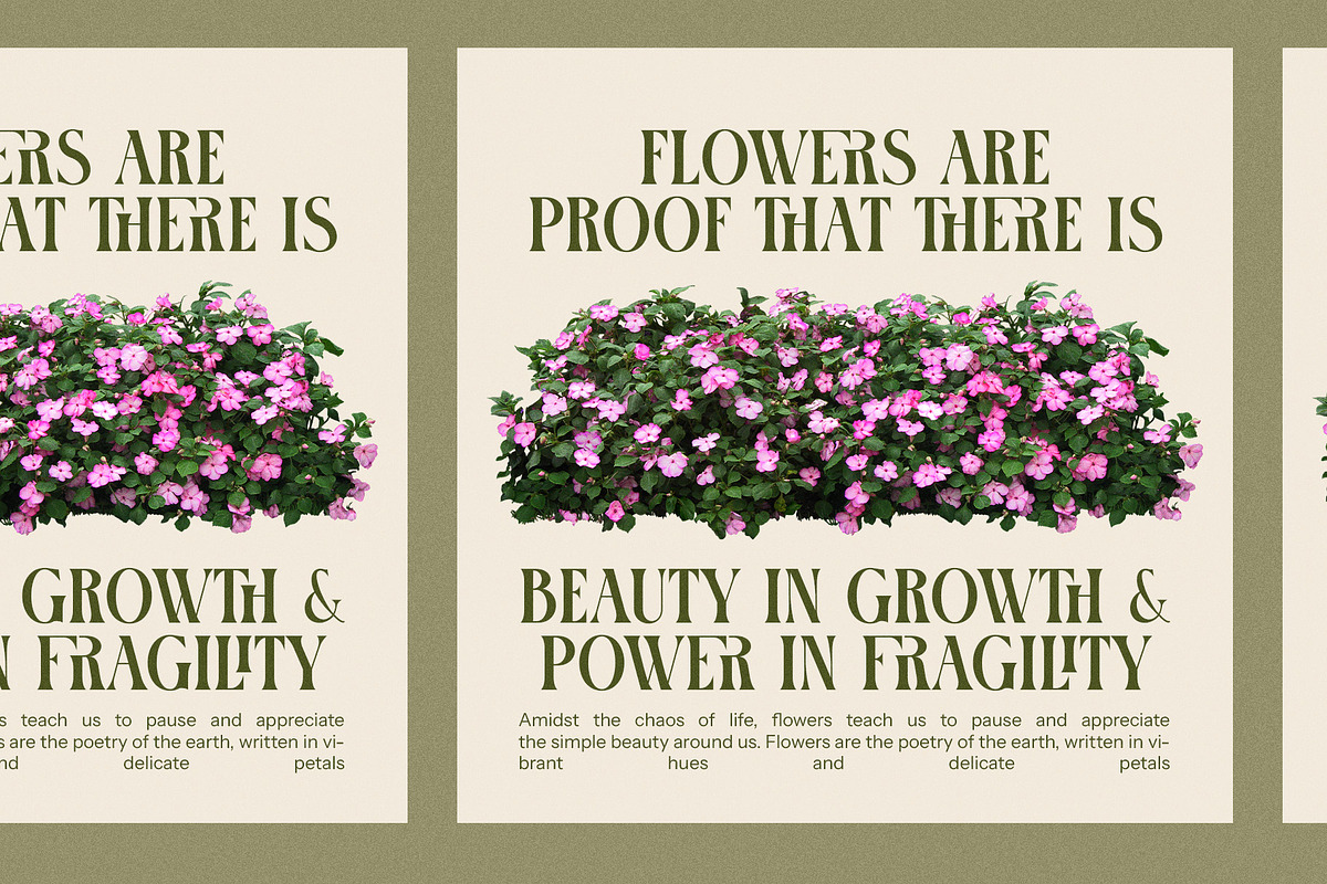 Tronse Elegant Serif Font, a Serif Font by Perfectype (Photo 5 of 8)